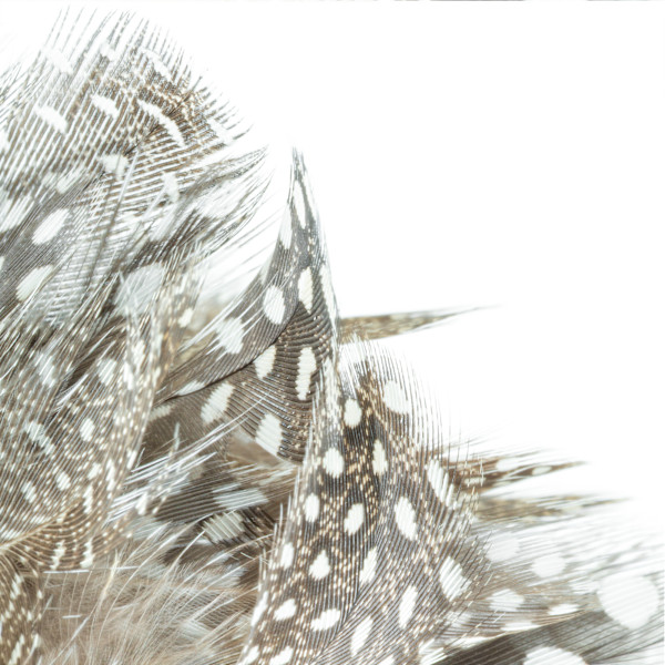 Alix Born _ RV16 by Da Silva Gallery / GALLERyLABS