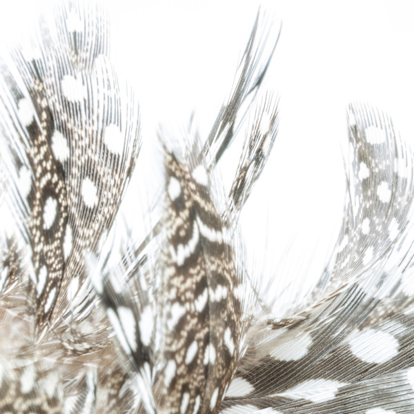 Alix Born _ RV18 by Da Silva Gallery / GALLERyLABS