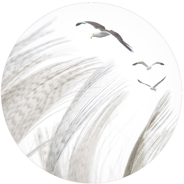 Alix Born by Da Silva Gallery / GALLERyLABS, Image 1.