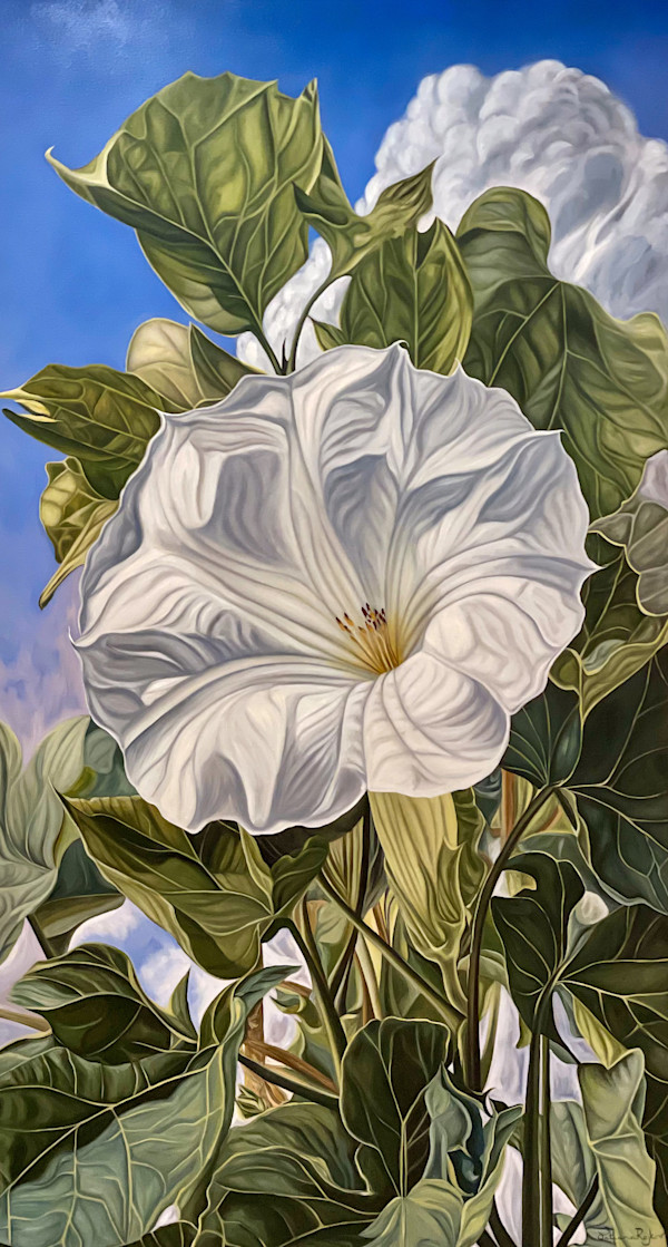 Tatiana Rajkov. Conversation with O’Keeffe by Da Silva Gallery / GALLERyLABS, Image 1.