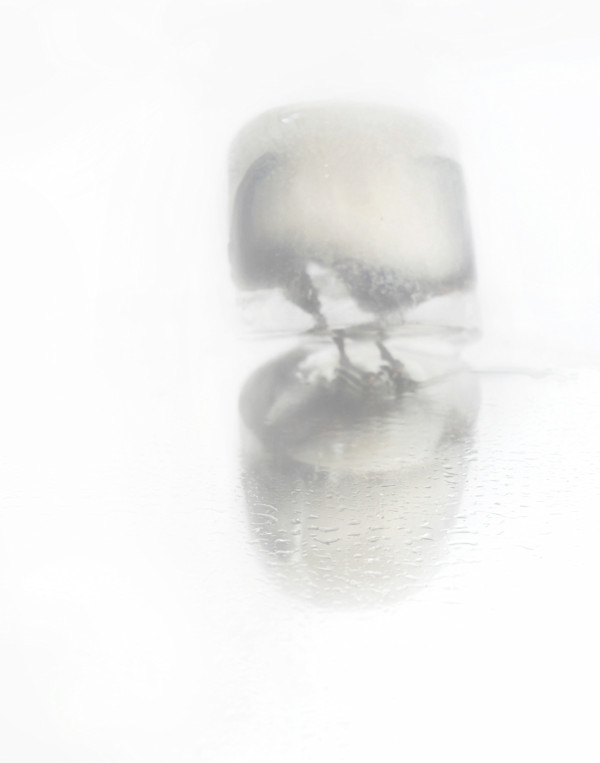 Ines Temperley _ Forest II by Da Silva Gallery / GALLERyLABS