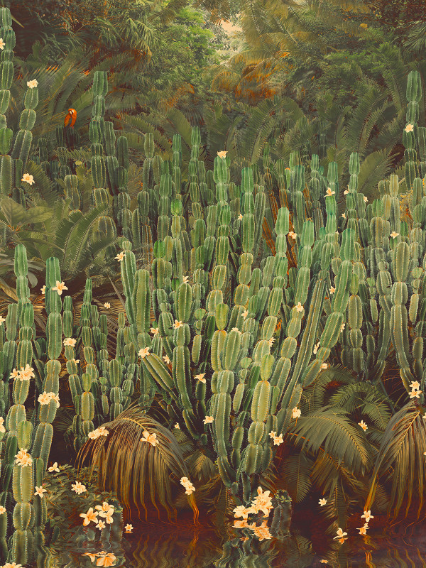 Nadia Attura "Cactus Jungle" by Da Silva Gallery/Gallerylabs