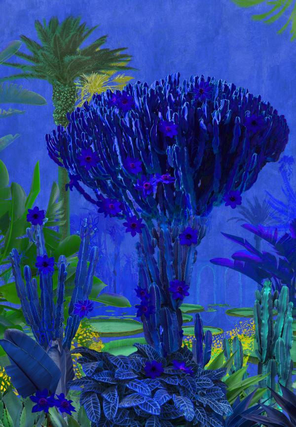 Nadia Attura "Cactus Marrakech" by Da Silva Gallery/Gallerylabs