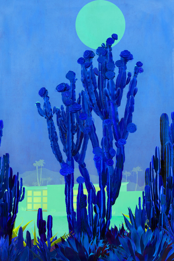 Nadia Attura "Cactus Moonlight" by Da Silva Gallery/Gallerylabs