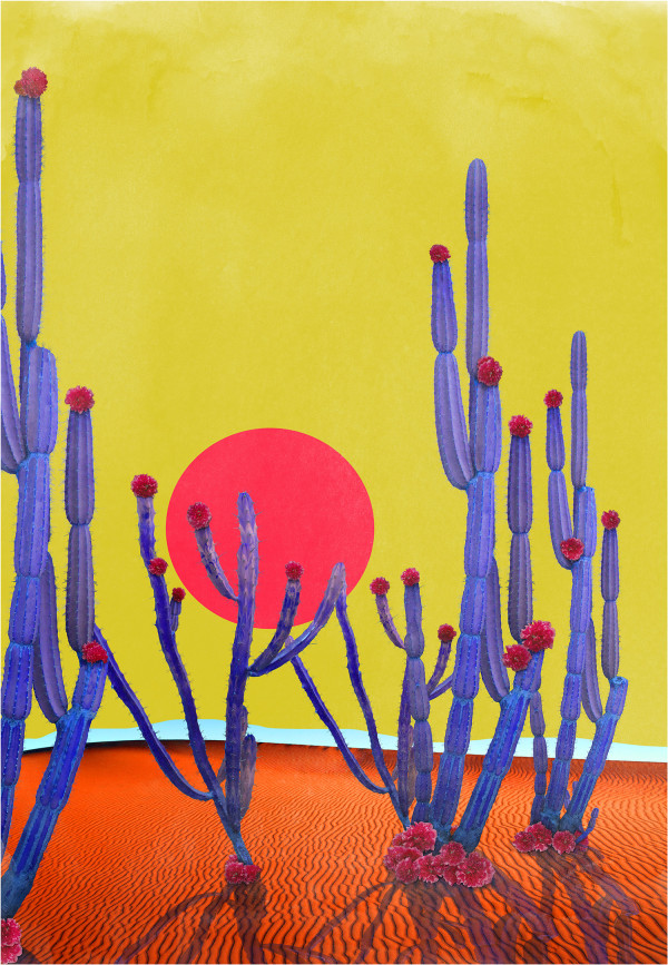 Nadia Attura "Cactus Sunset" by Da Silva Gallery / GALLERyLABS