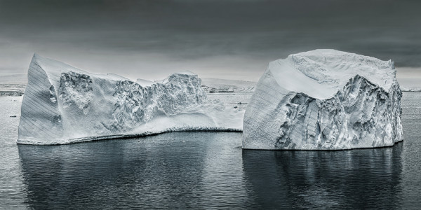 Foco En, Herencia Vulnerable XIX (19) by Da Silva Gallery / GALLERyLABS