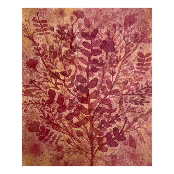 Fernanda Froes / Imaginary Flora by Da Silva Gallery / GALLERyLABS