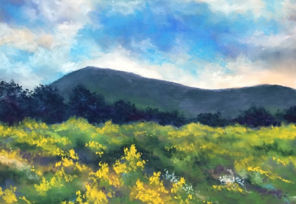 Goldenrod and Mount Nittany