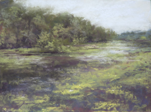 Wetlands at Shaver's Creek by Jennifer Shuey