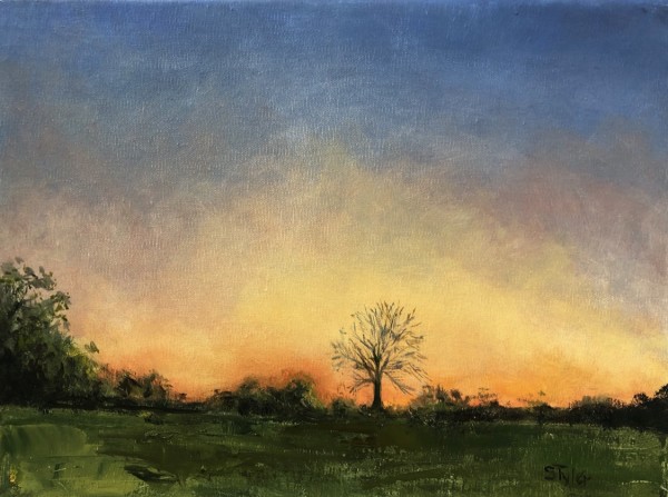 Sunset by susan tyler