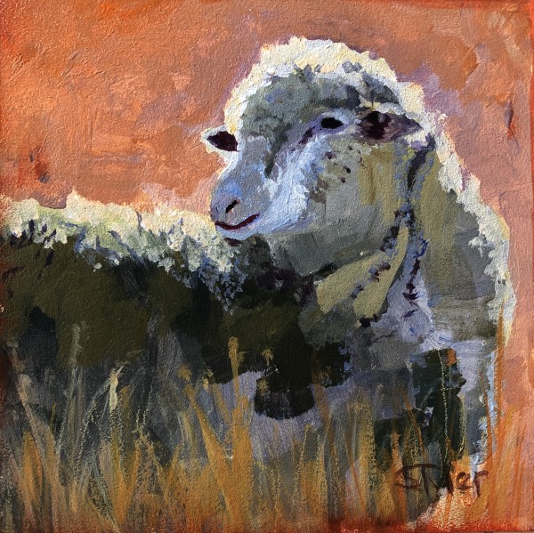 Sheep Series