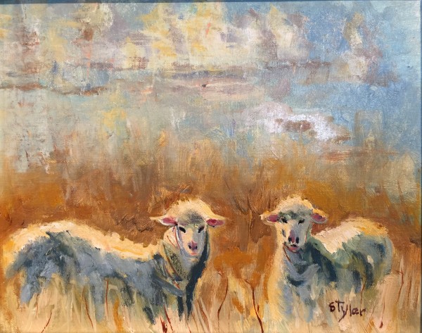 Texas Sheep by susan tyler