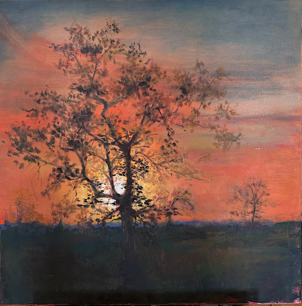 Sunset by susan tyler