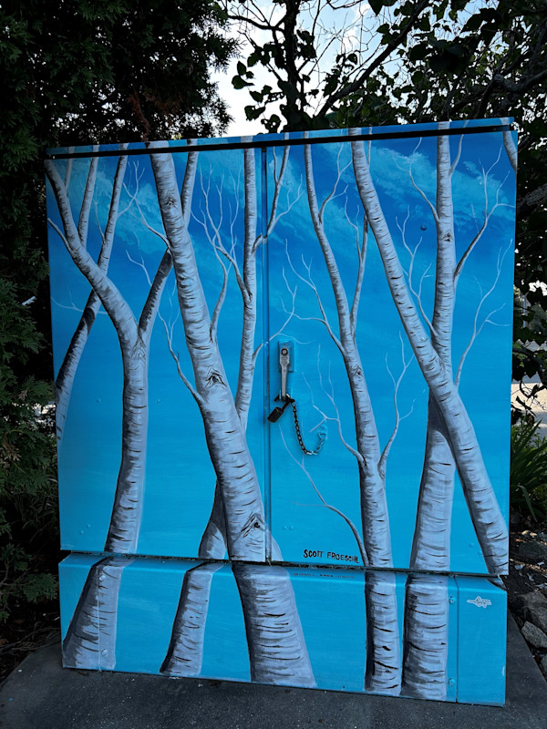 A Stand of Birches by Scott Froeschl