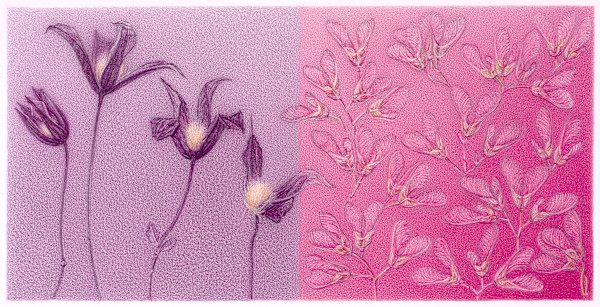 Wings by Lauren Lipinski Eisen