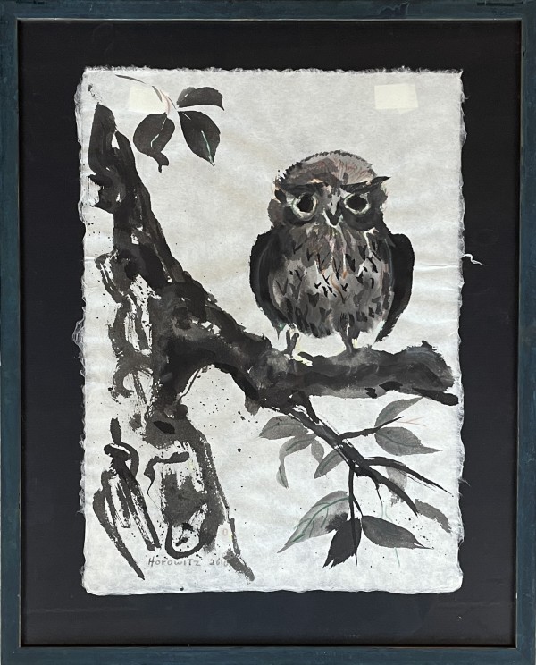 Young Owl by Mardi Horowitz