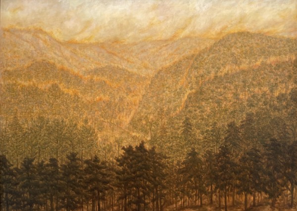 Fuegos Lejanos - Fuego En La Distancia by Estate Rodolfo Abularach