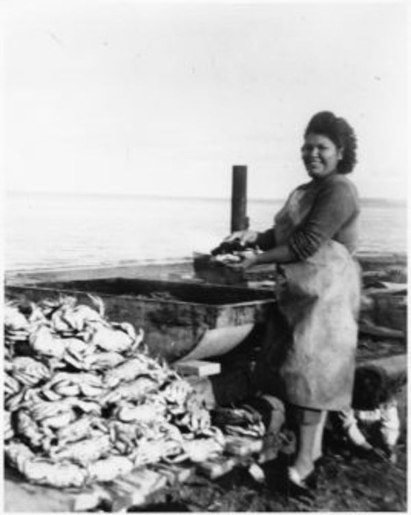 Hanna Dick Johnson cleaning and cooking crab on Jamestown Beach by Charlotte Watts