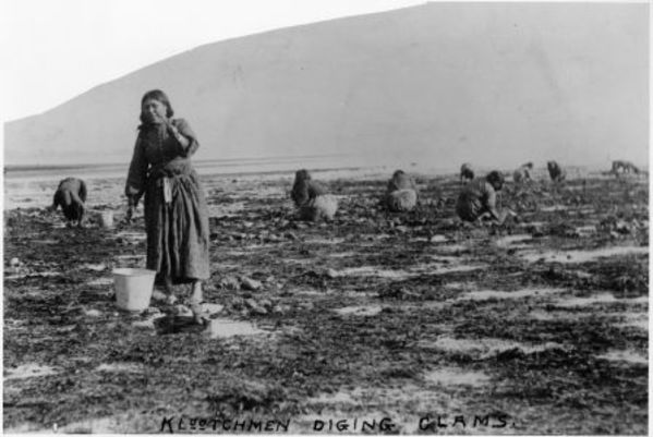 Women digging clams on the beach, Kellogg Collection by Charlotte Watts