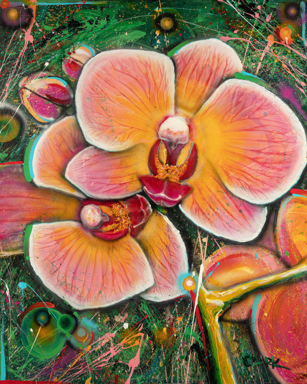 Orchids for Grace by Dean Clark