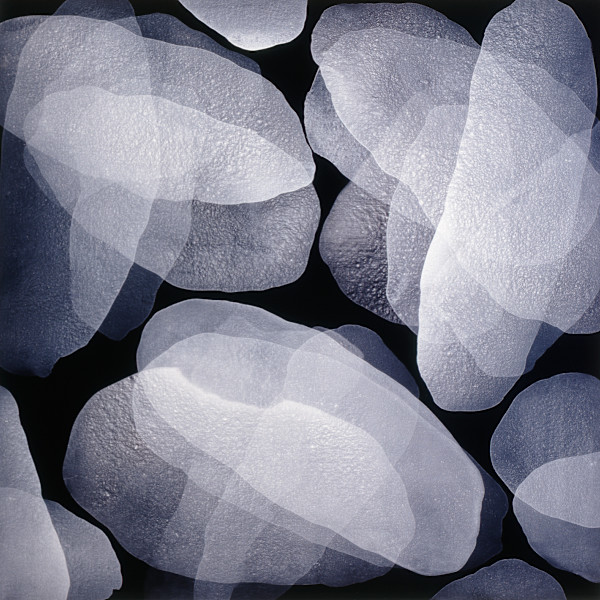 Blanco sobre Negro  1 by Michelle Concepción, Image 1.