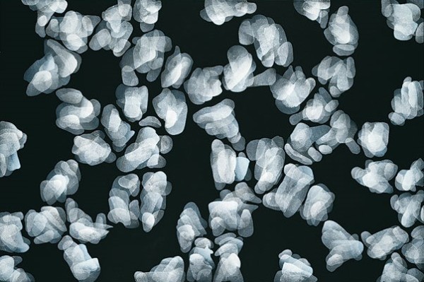 Blanco sobre negro 7 by Michelle Concepción, Image 3.