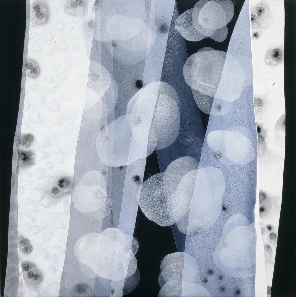 Hybrid 1 by Michelle Concepción, Image 3.