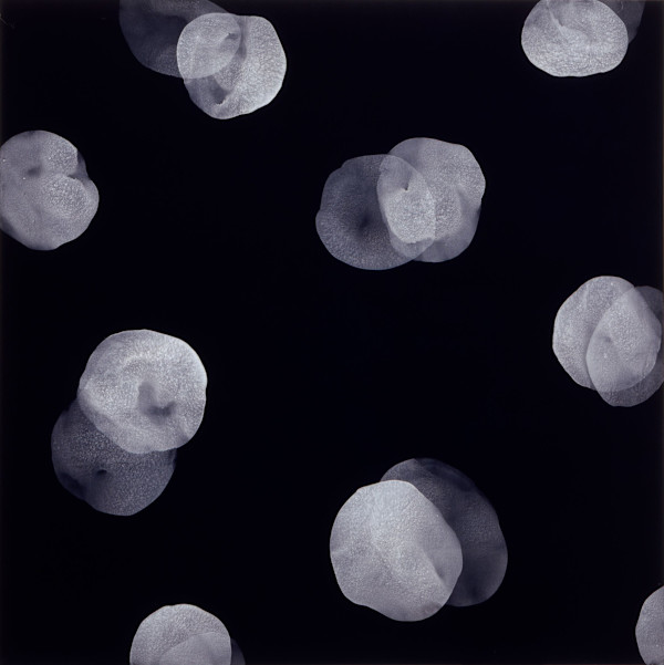 Process 1 by Michelle Concepción, Image 1.