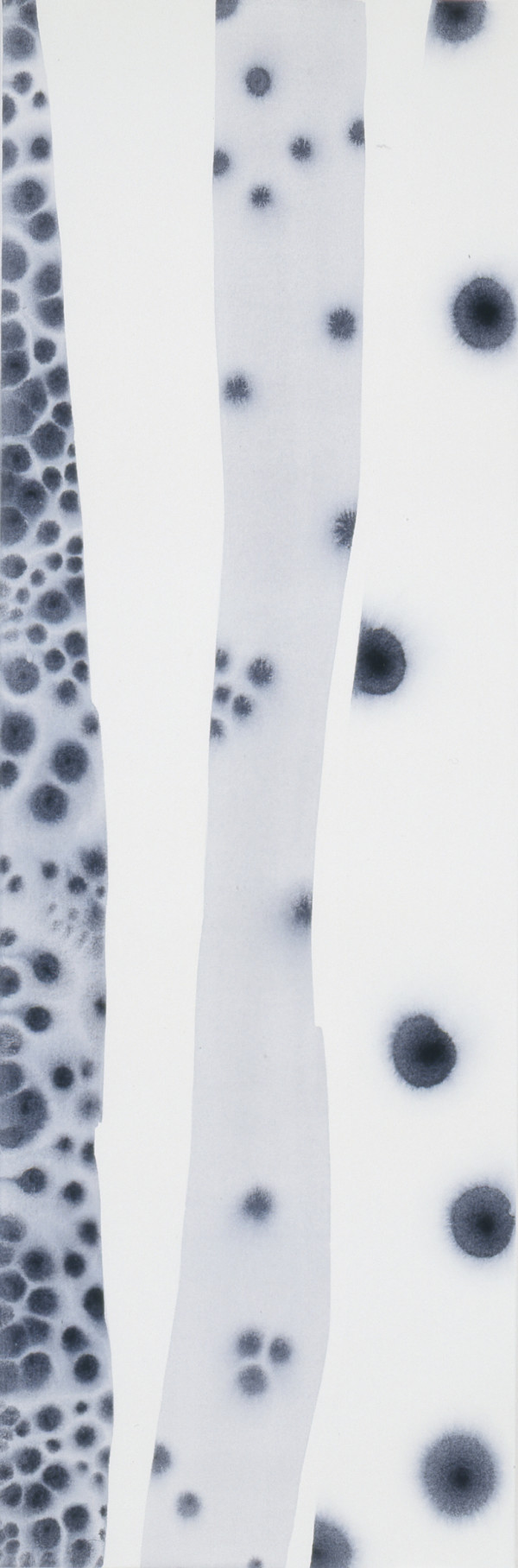 Transparence 2, Image 1.