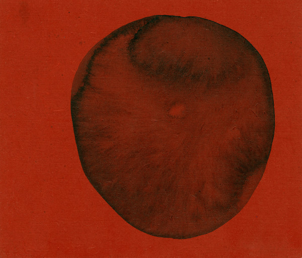 CD7 by Michelle Concepción