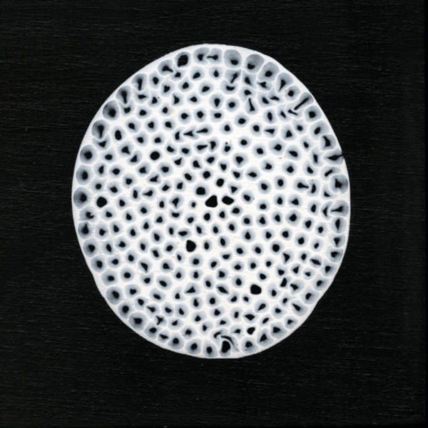 Movement 21 by Michelle Concepción