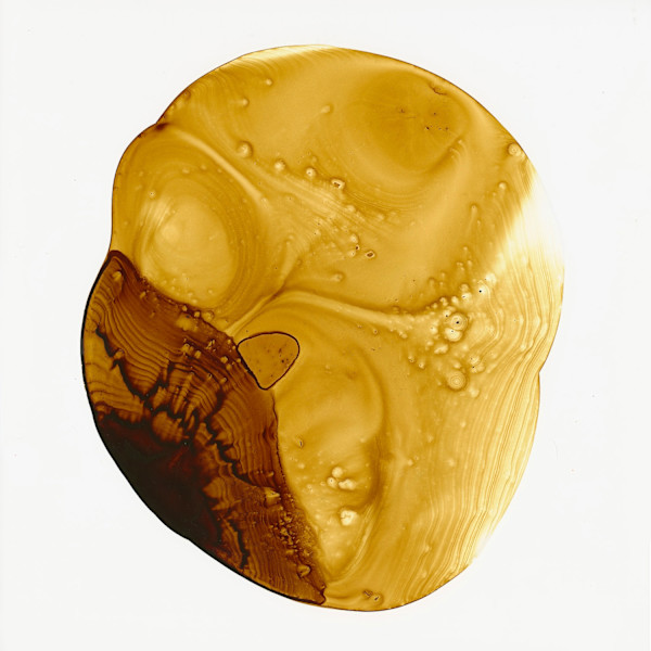 Square Pearl  3 by Michelle Concepción