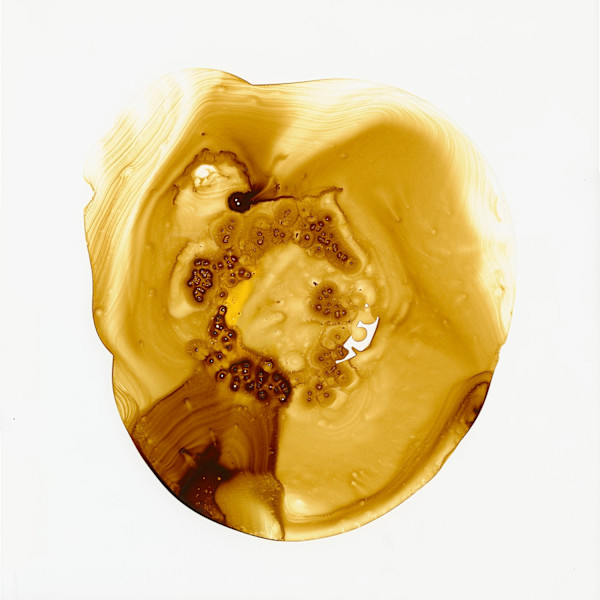 Square Pearl  4 by Michelle Concepción