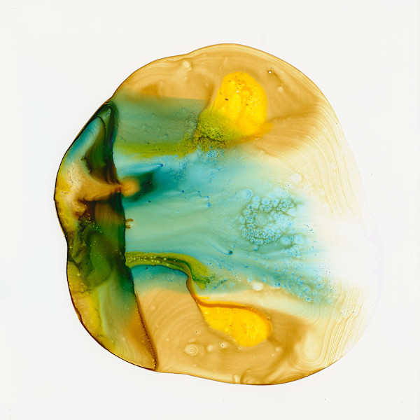 Square Pearl 5 by Michelle Concepción