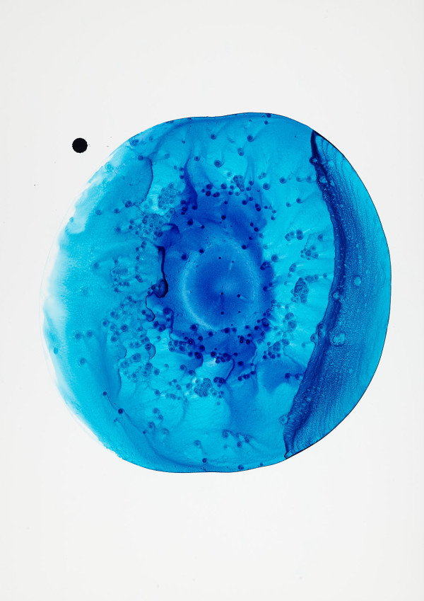 Turquoise 12 by Michelle Concepción