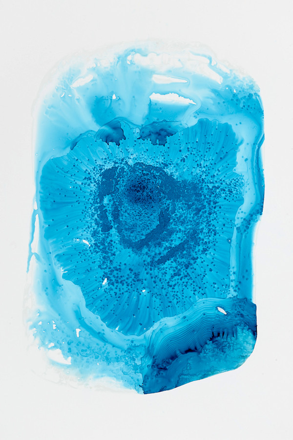 Turquoise 19 by Michelle Concepción