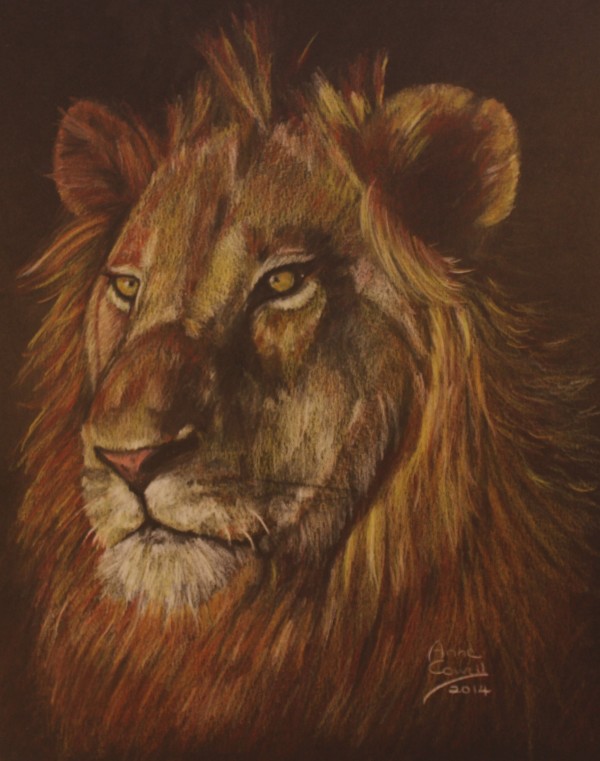 Sunset Lion by Anne Cowell