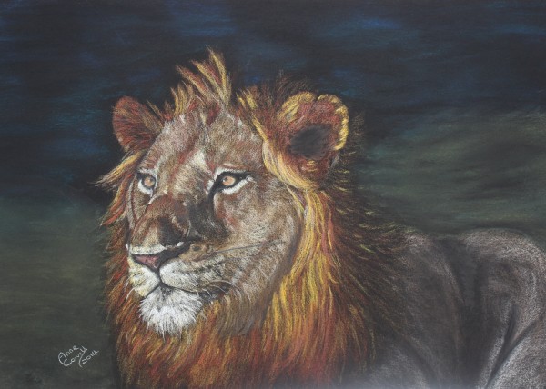 Sundown Lion by Anne Cowell