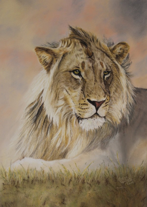 Lion Around by Anne Cowell