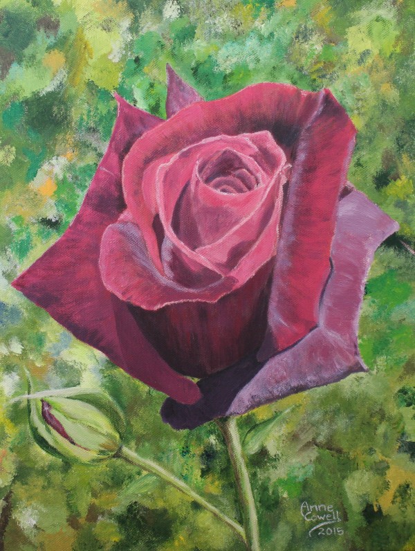Deep Red Rose by Anne Cowell