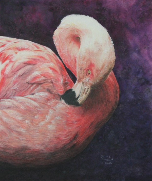 Flamboyant Flamingo by Anne Cowell
