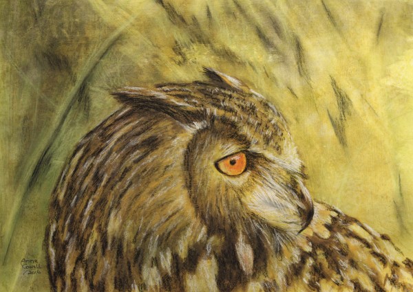 Eagle Owl by Anne Cowell