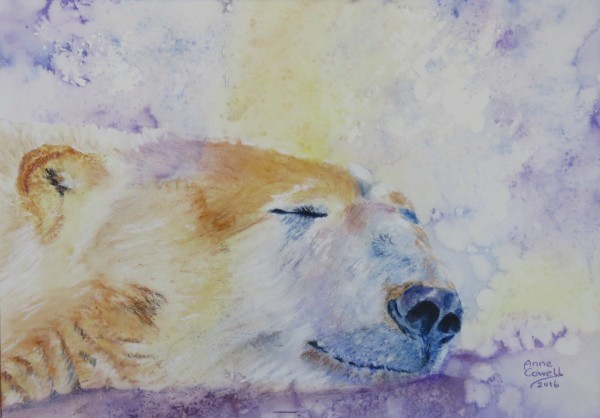 Sleepy Polar by Anne Cowell