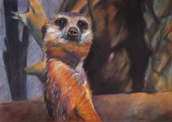 Meerkat Alert by Anne Cowell