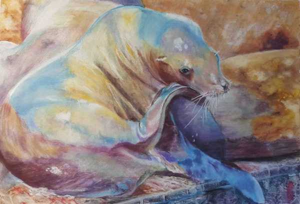 Sealion by Anne Cowell