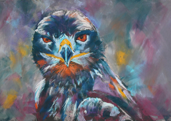 Intense Falcon by Anne Cowell
