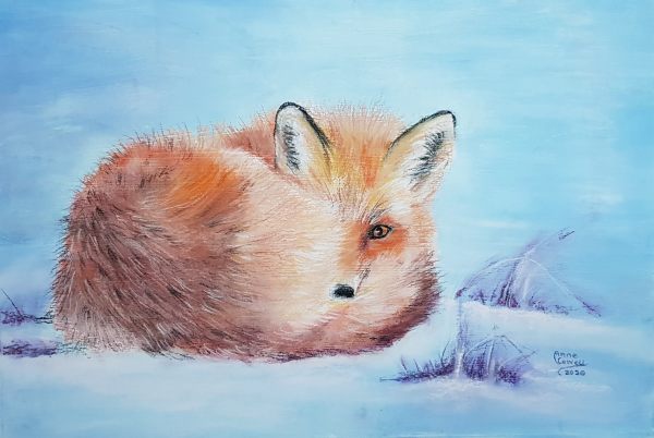 Curled Fox by Anne Cowell