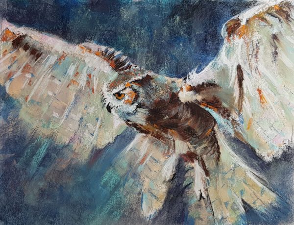 Dawn Owl by Anne Cowell