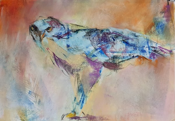 Dawn Osprey by Anne Cowell
