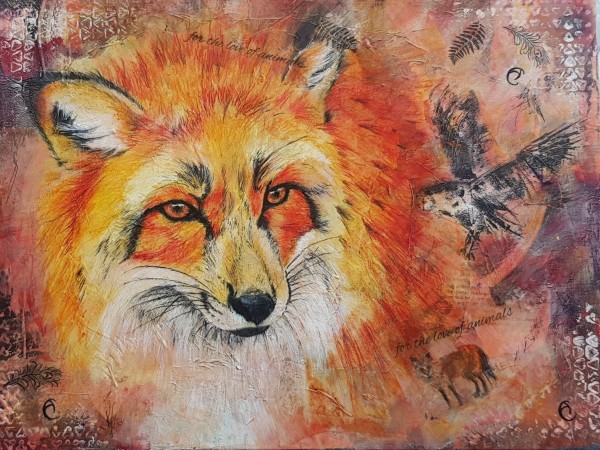 Morph of the Red Fox